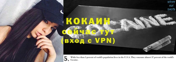 ГАЛЛЮЦИНОГЕННЫЕ ГРИБЫ Абаза