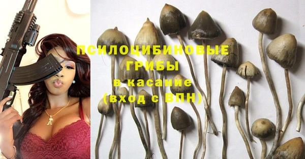 ГАЛЛЮЦИНОГЕННЫЕ ГРИБЫ Абаза