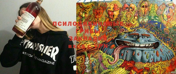 mix Абинск