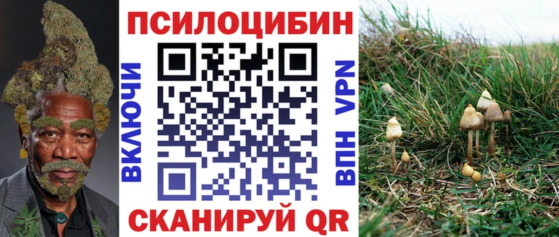 МЕГА ссылка  цены   Прокопьевск  Галлюциногенные грибы Psilocybine cubensis 